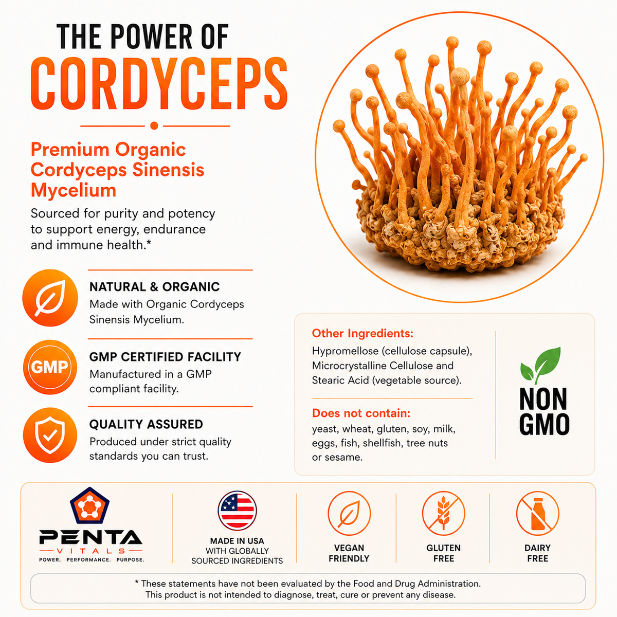 Cordyceps 750mg – Immune Support & Energy Adaptogen